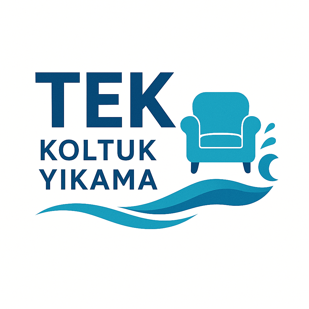 TEK Koltuk Yıkama Logo Tasarımı